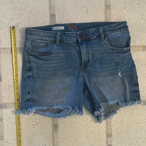 KUT Women's Denim Shorts